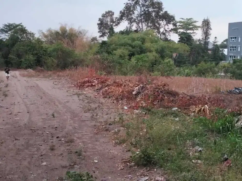 TANAH tegalan murah strategis dekat kampus dan stadion maguwoharjo