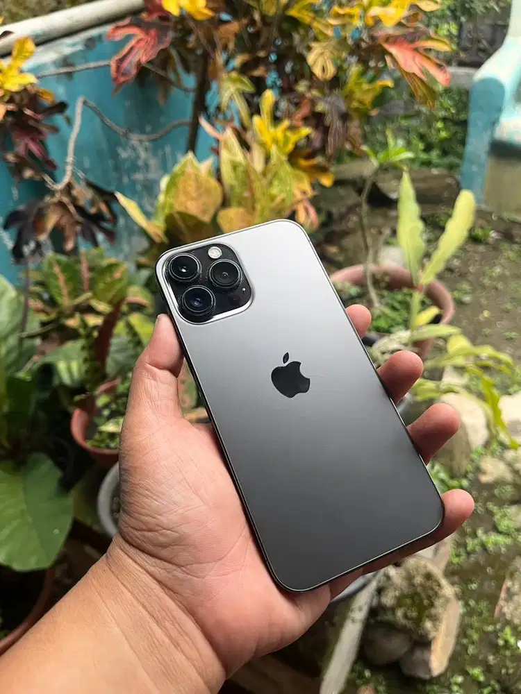 Iphone 13 promax 256