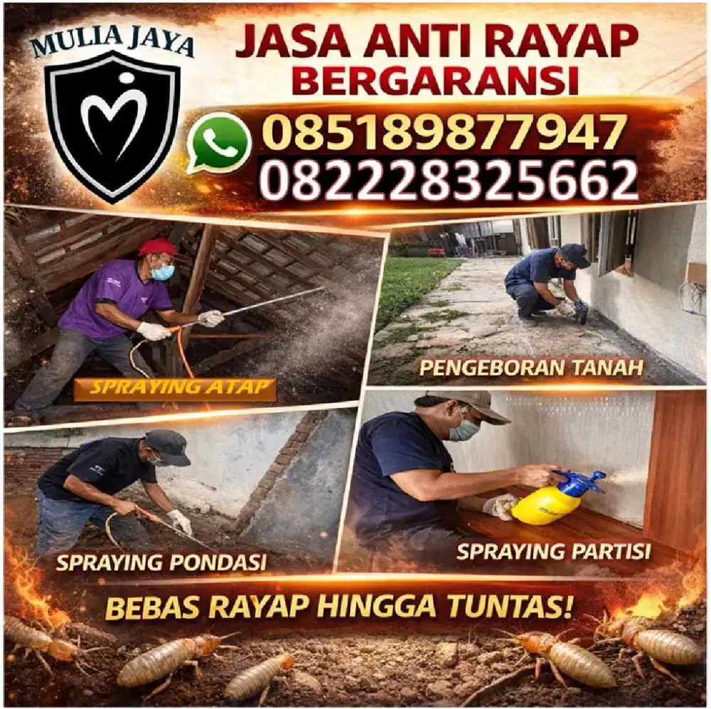 JASA ANTI RAYAP TERBAIK DI SURABAYA, SIDOARJO, GRESIK, MOJOKERTO