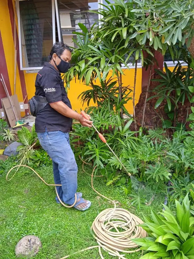 JASA ANTI RAYAP TERBAIK DI SURABAYA, SIDOARJO, GRESIK, MOJOKERTO