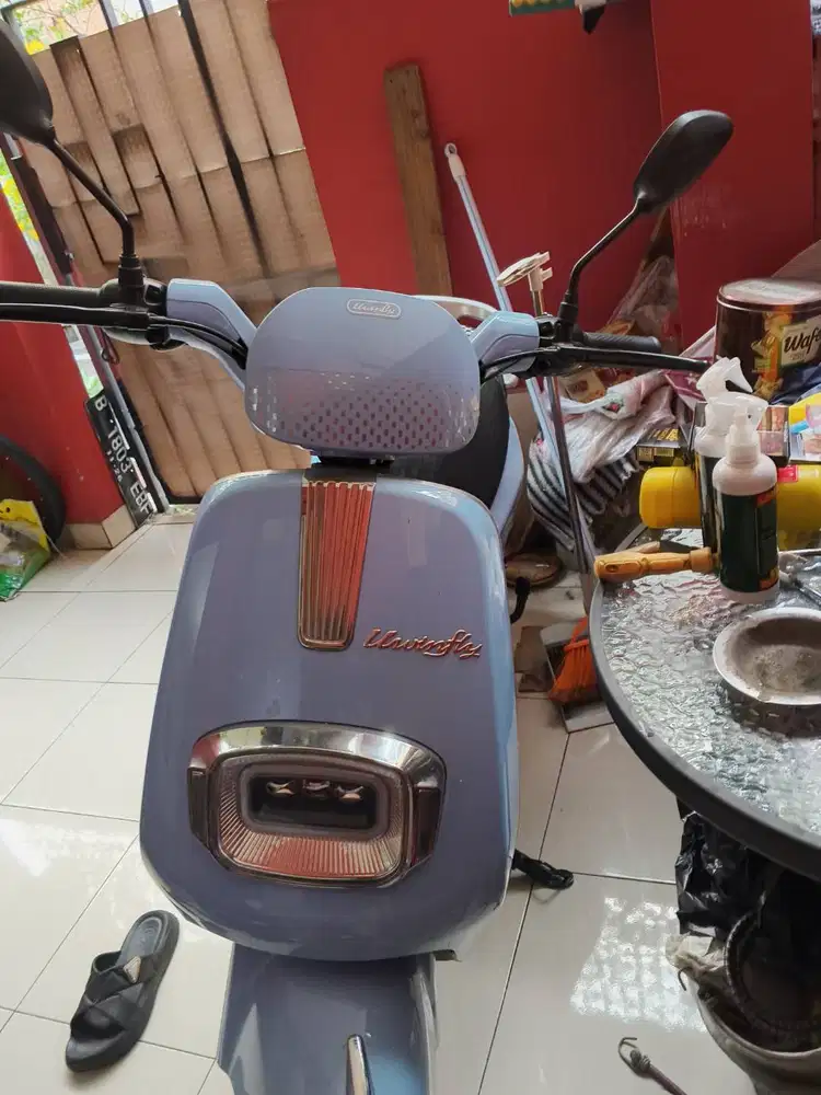 Selis winfly T70