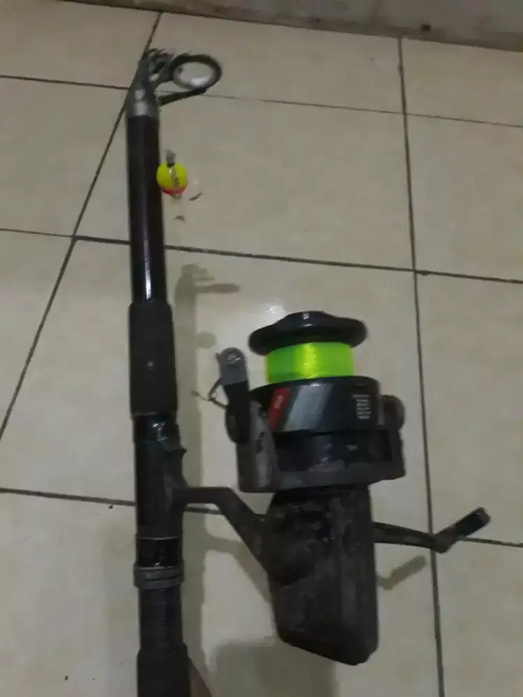 Jual aja pancingan