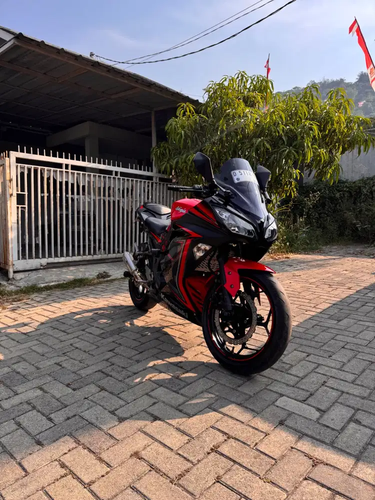 Kawasaki Ninja FI 2014