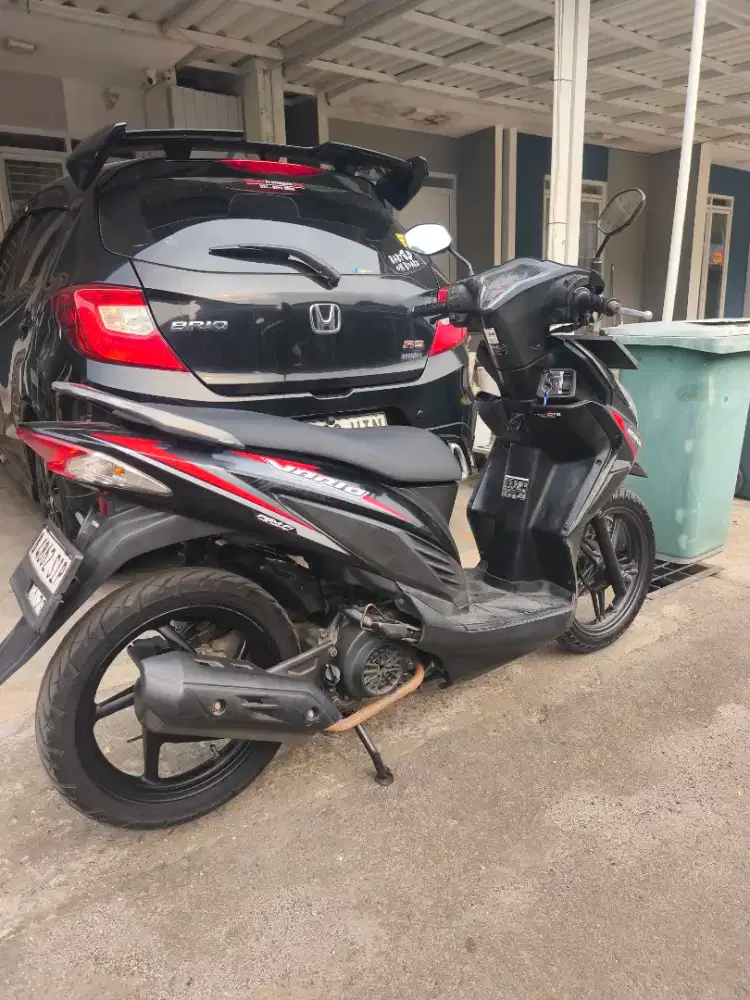Vario 110 2019 Vario Agnes 2019 Vario 2019
