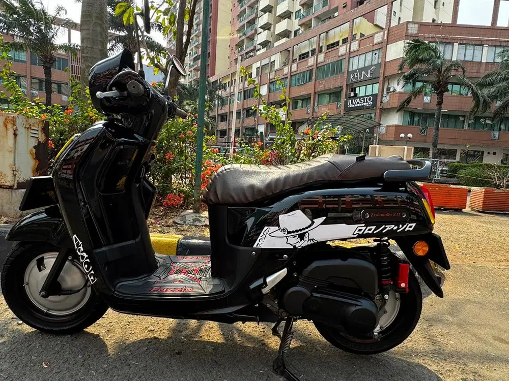 Fazzio neo Hybrid 2022