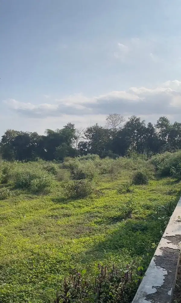 DIJUAL TANAH (Tanpa Perantara)