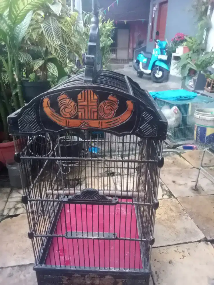 Kurung kotak Ebod ukir