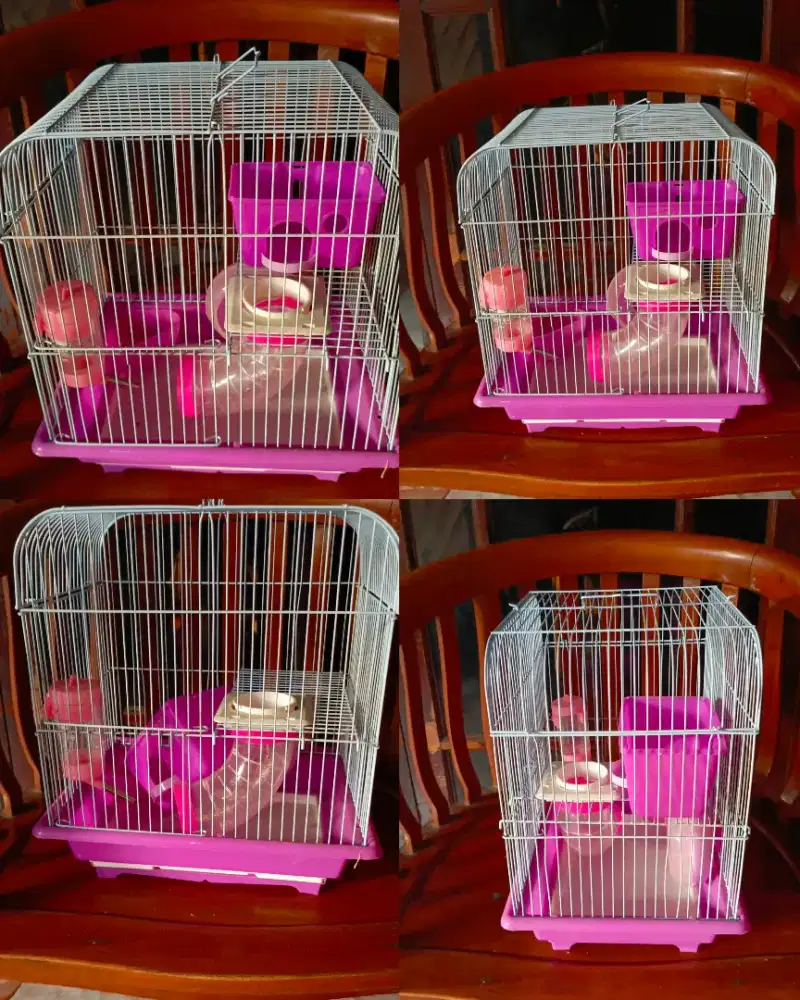 KANDANG HAMSTER