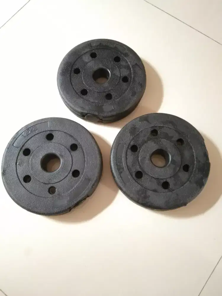 Take all Barbell 1,25kg ( 3 pcs )