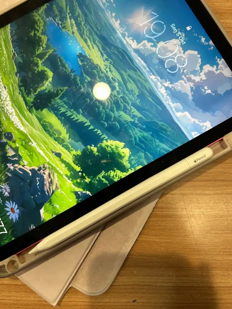 Apple pencil for iPad