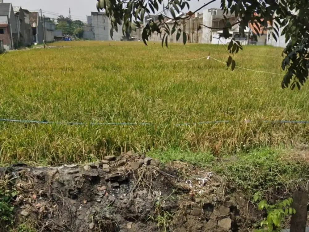 Jual Nego Tanah Sawah Mainroad Sriwijaya Tengah Kota Strategis