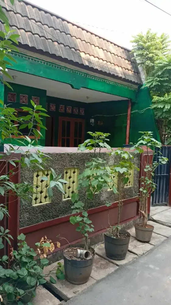 Dikontrakkan Rumah Tinggal