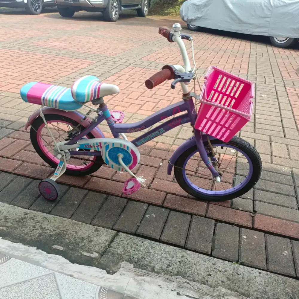 Sepeda anak2 wimcycle