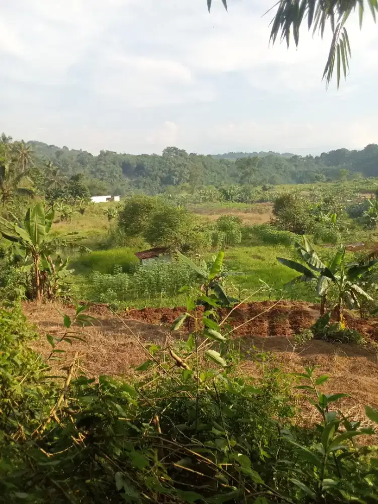 Lahan untuk  perumahan sudah zona kuning