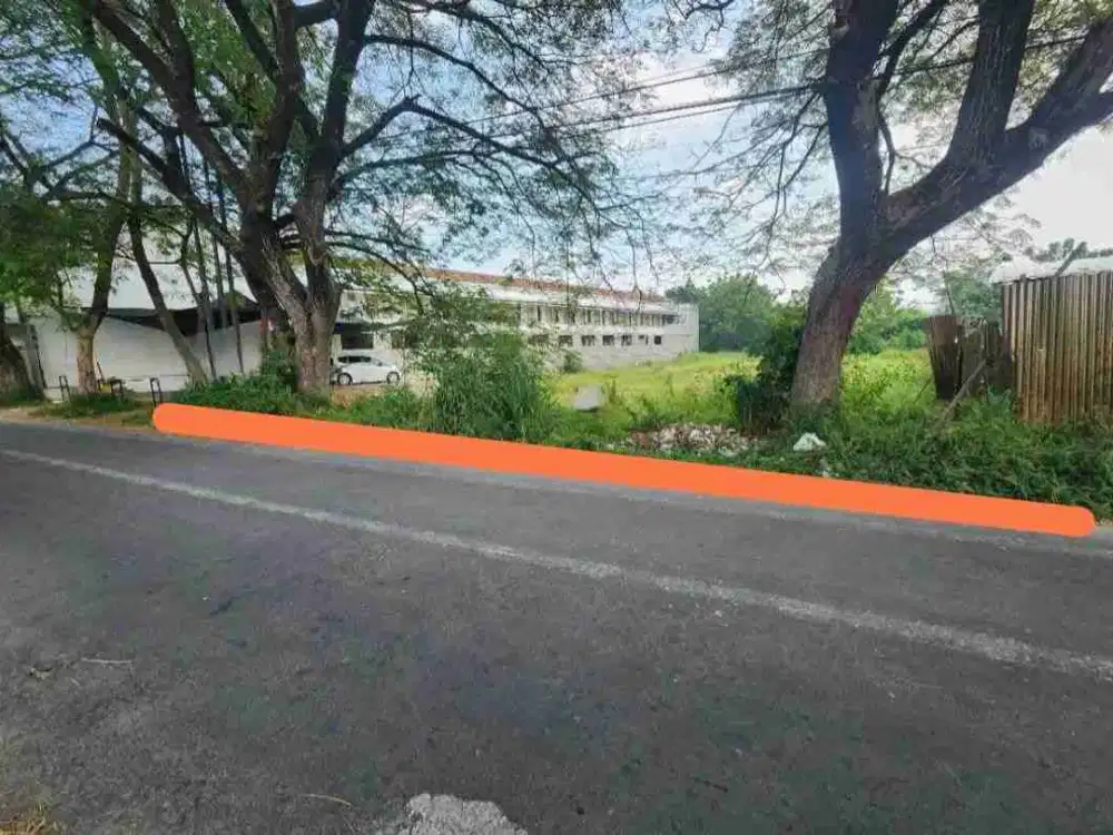 tanah gajahan pinggir jalan cocok untuk usaha harga bawah pasar