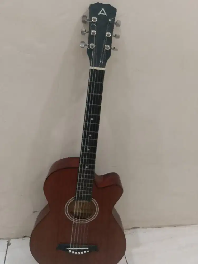 Gitar Anderson akustik
