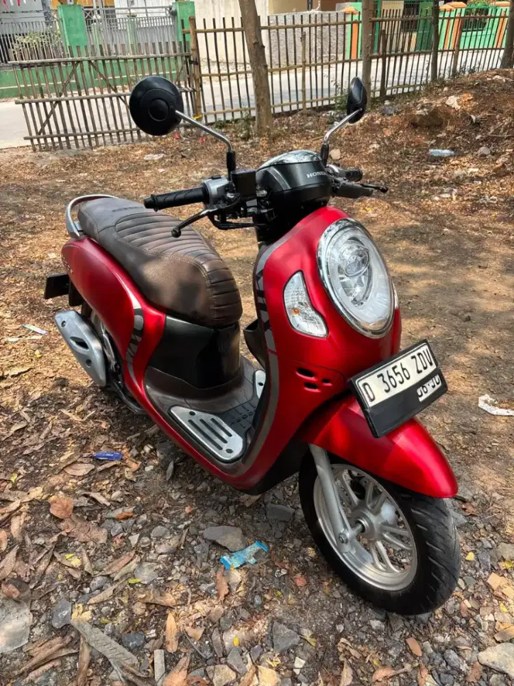 Scoopy keyles 2021