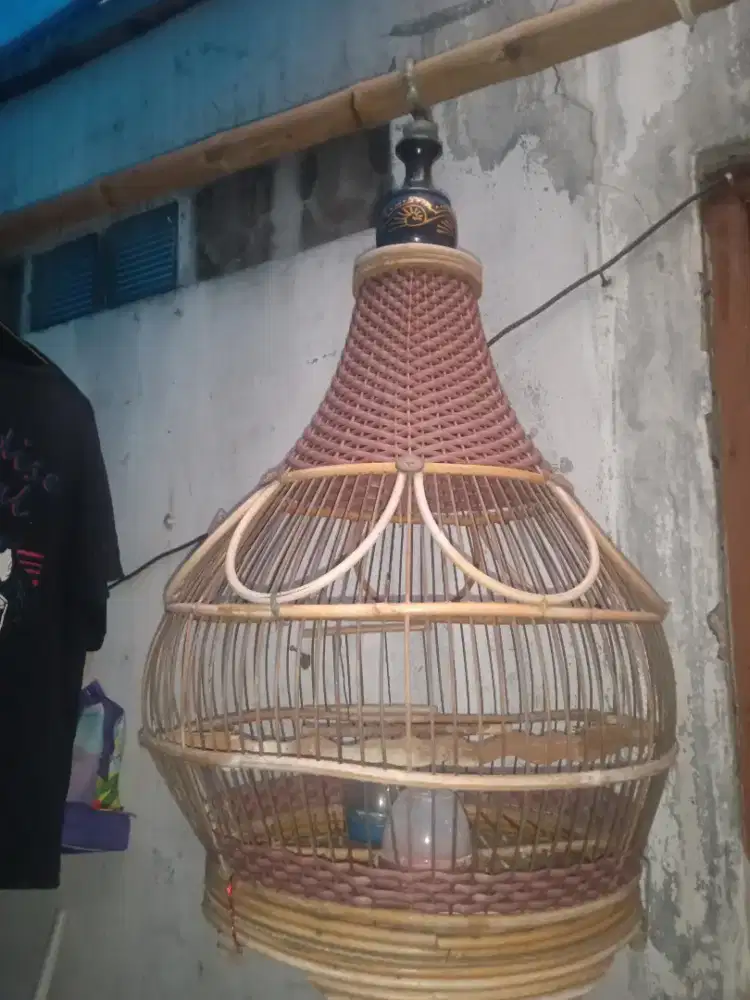 Kandang Burung Perkutut,