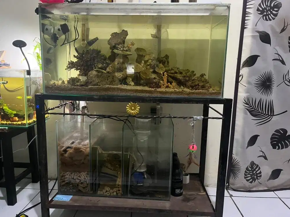 JUAL SET AQUARIUM LAUT