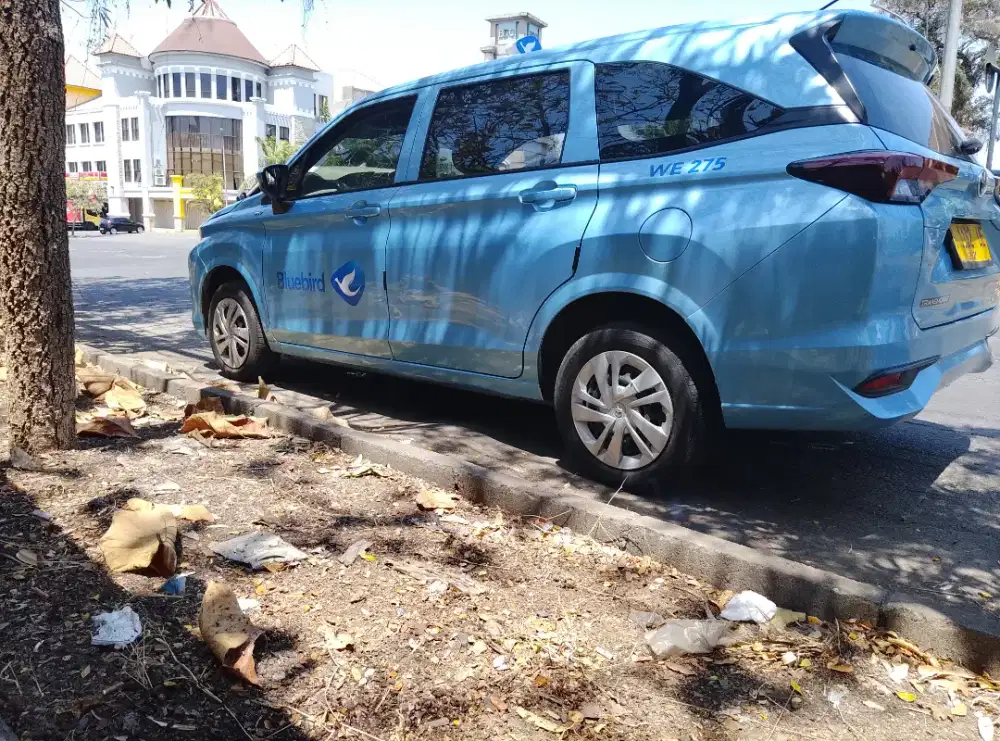 jasa rental argo bluebird