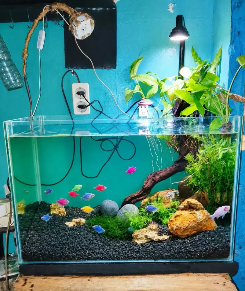 Jual cepat aquarium full set harga murah angkut semua/ NEGO