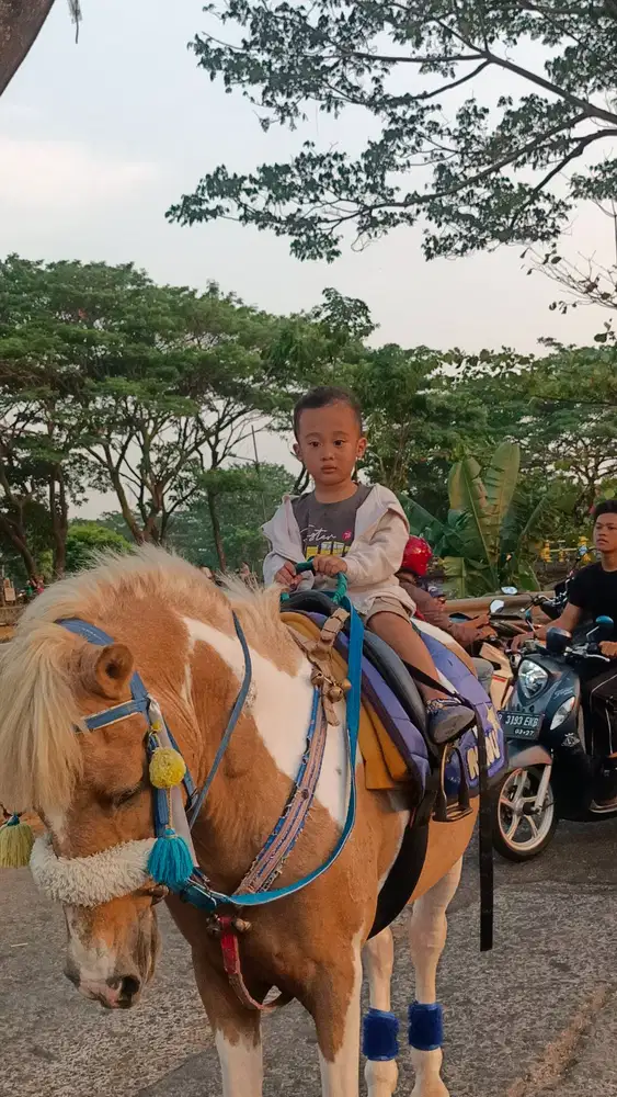 Butuh Pengasuh Balita