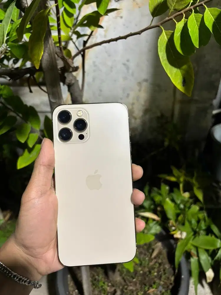 ip 12 PROMAX 256 gb