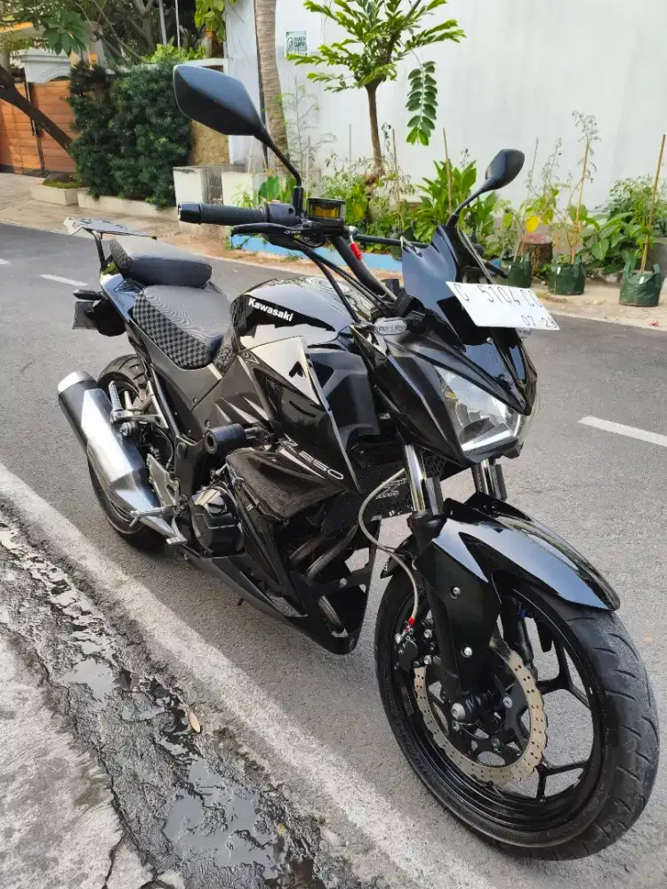 Kawasaki ninja z250 2013