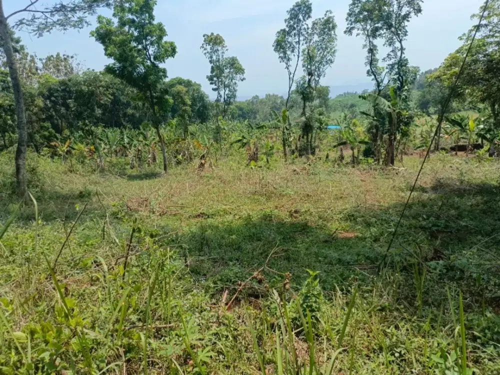 Dijual Tanah Pinggir Jalan Militer Darangdan