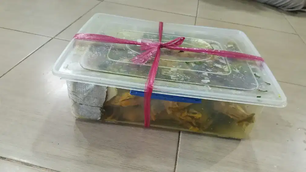 Pekerjaan wanita menggoreng bawang & kentang di dapur 6 jam sehari