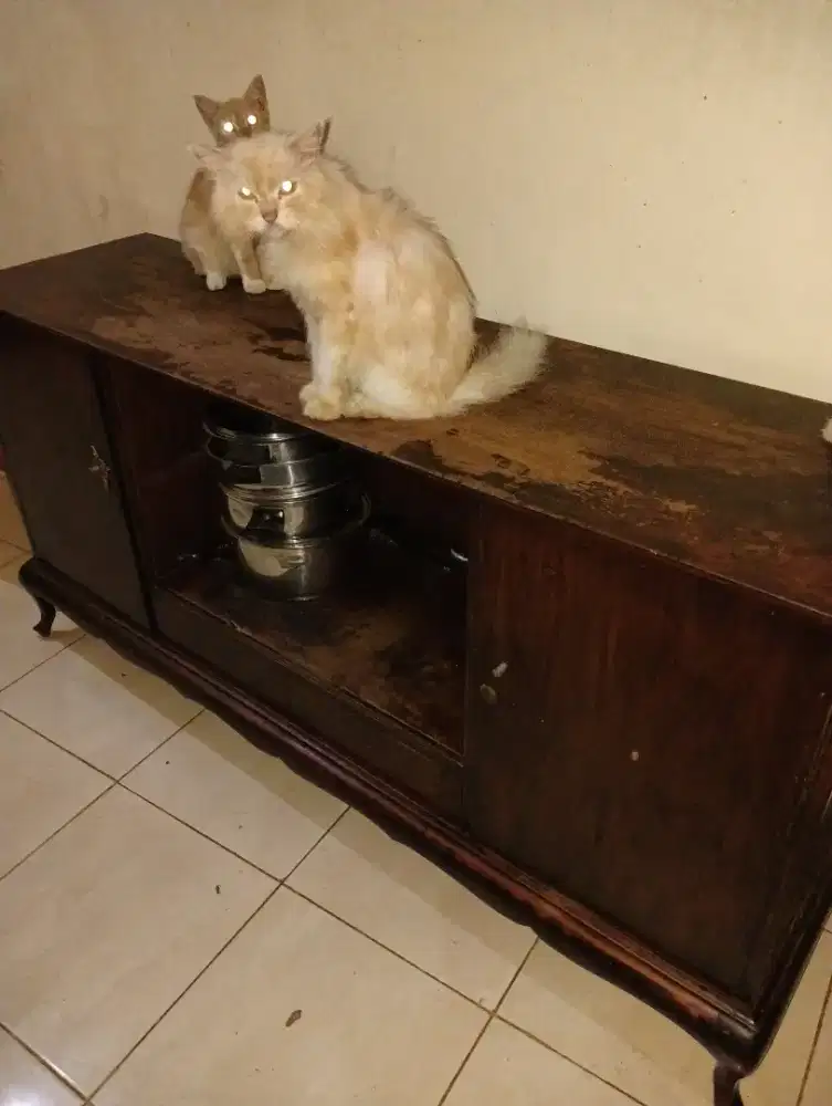 Buffet Vintage Jati