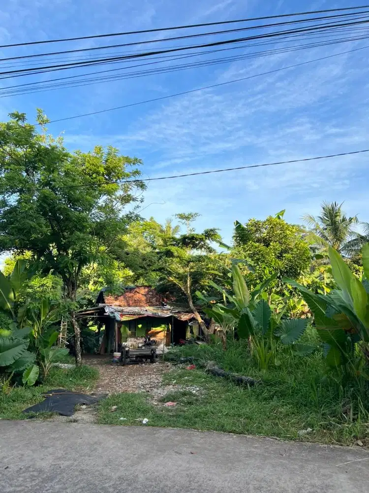Dijual Tanah langsung Pemilik