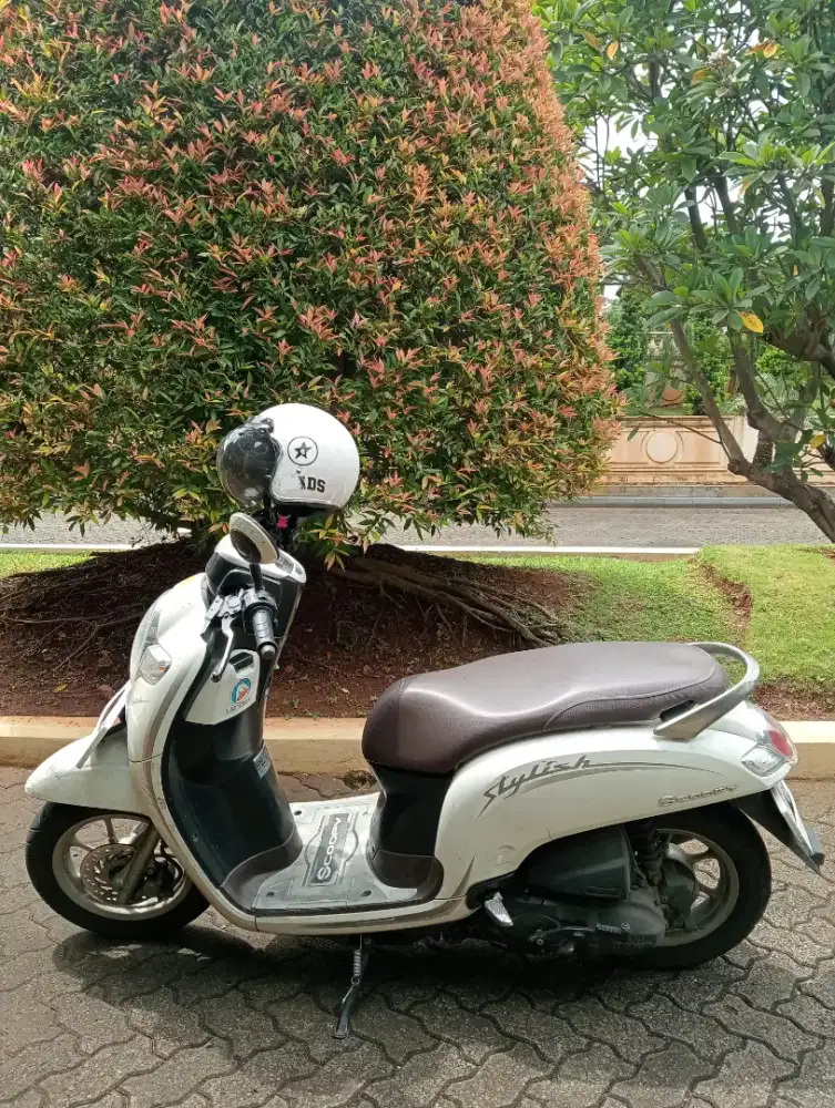 Scoopy stylish 2019