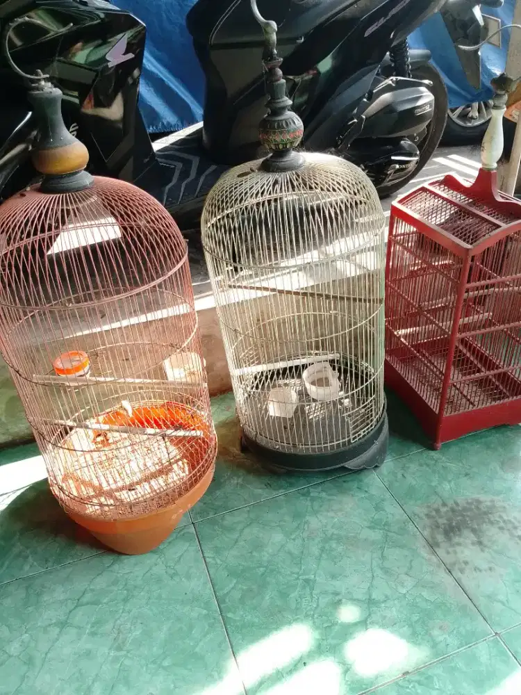 Dijual Sangkar Bekas burung