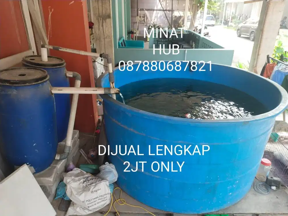 bak ikan besar termasuk chamber (jual murah)