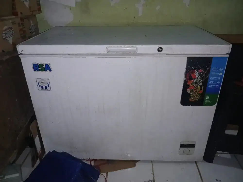 Frezzer Box 300 liter RSA Rusak