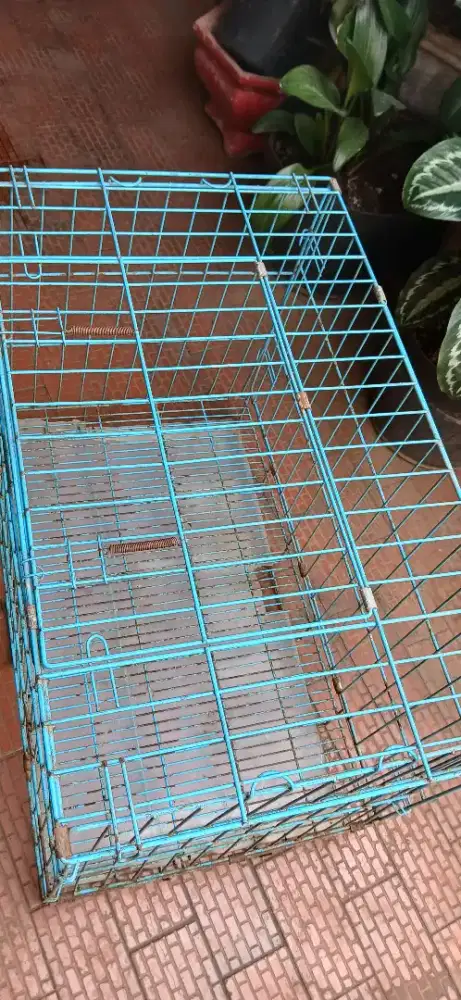 Kandang besi tebal Octagon dua pintu