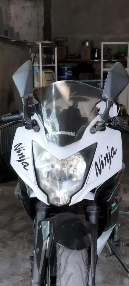 Ninja mono 250cc