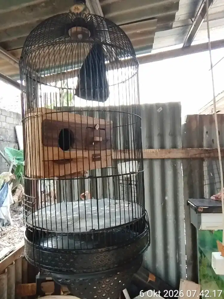 Kandang ternak pahe