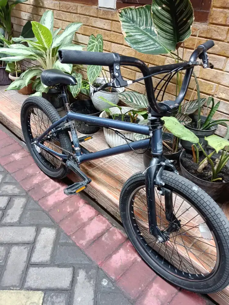 BMX polygon rudge