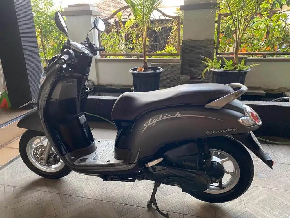 Honda Scoopy Stylish 2019