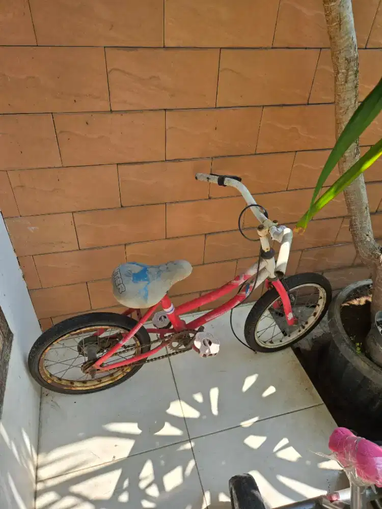 Jual sepeda apa adanya