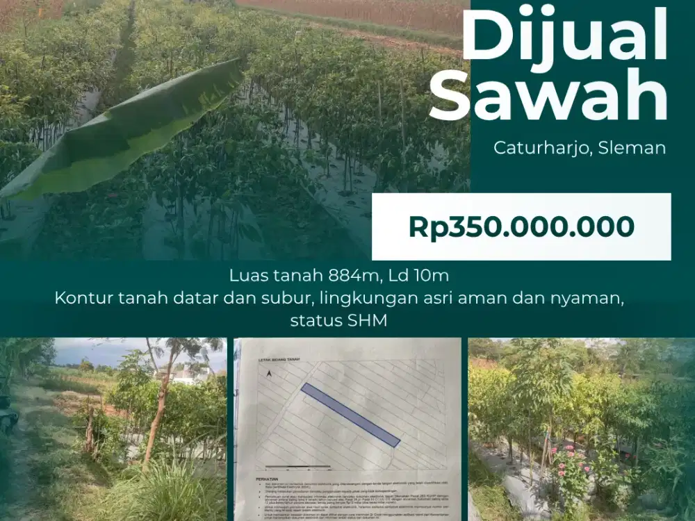 Dijual Sawah Murah Caturharjo, Sleman