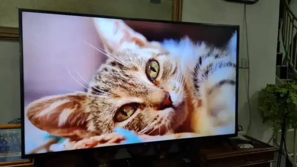 TV LED DIGITAL PHILIPS 50 INCH NO MINUS