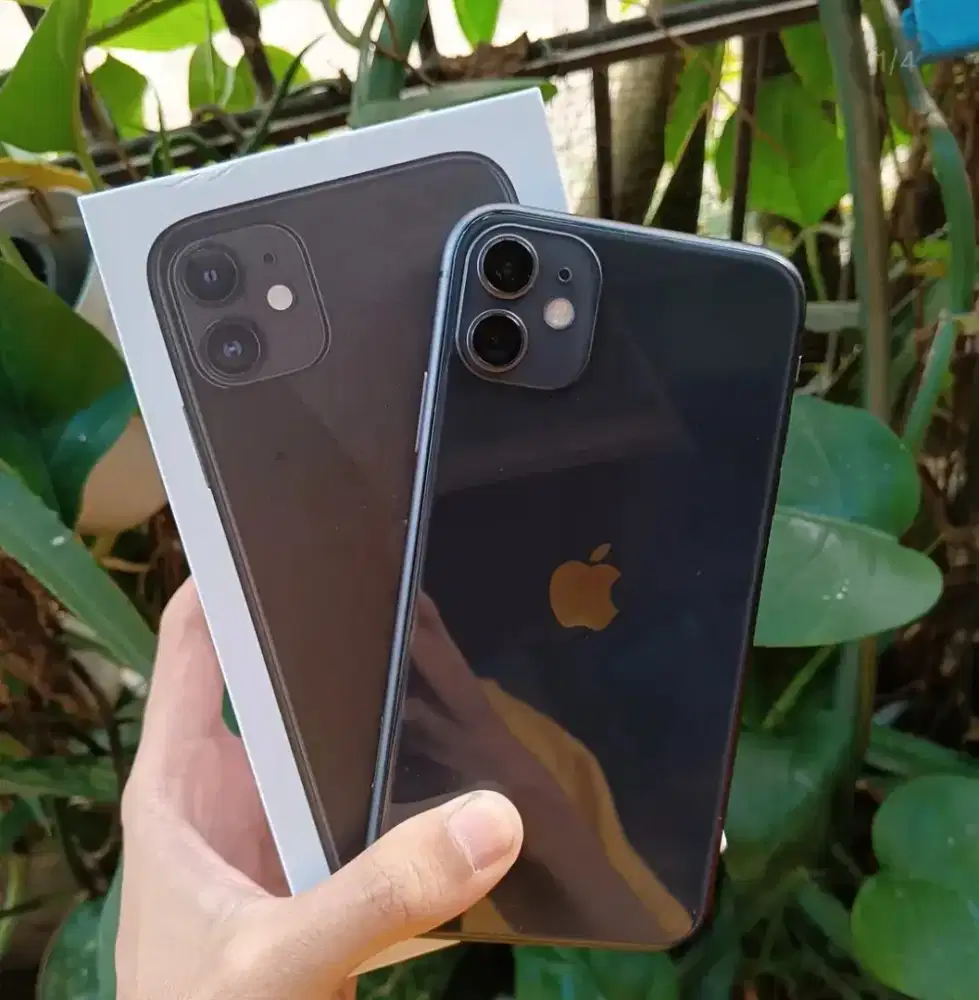 iPhone 11 64GB Inter