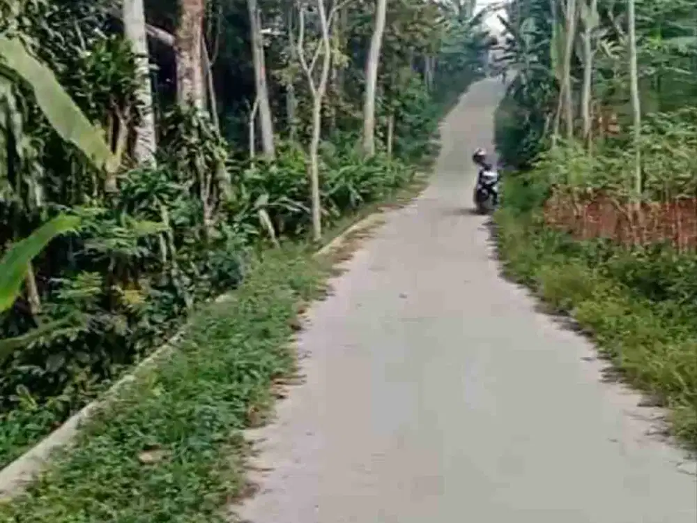 Lokasi sejuk Buat villa d cigombong bogor
