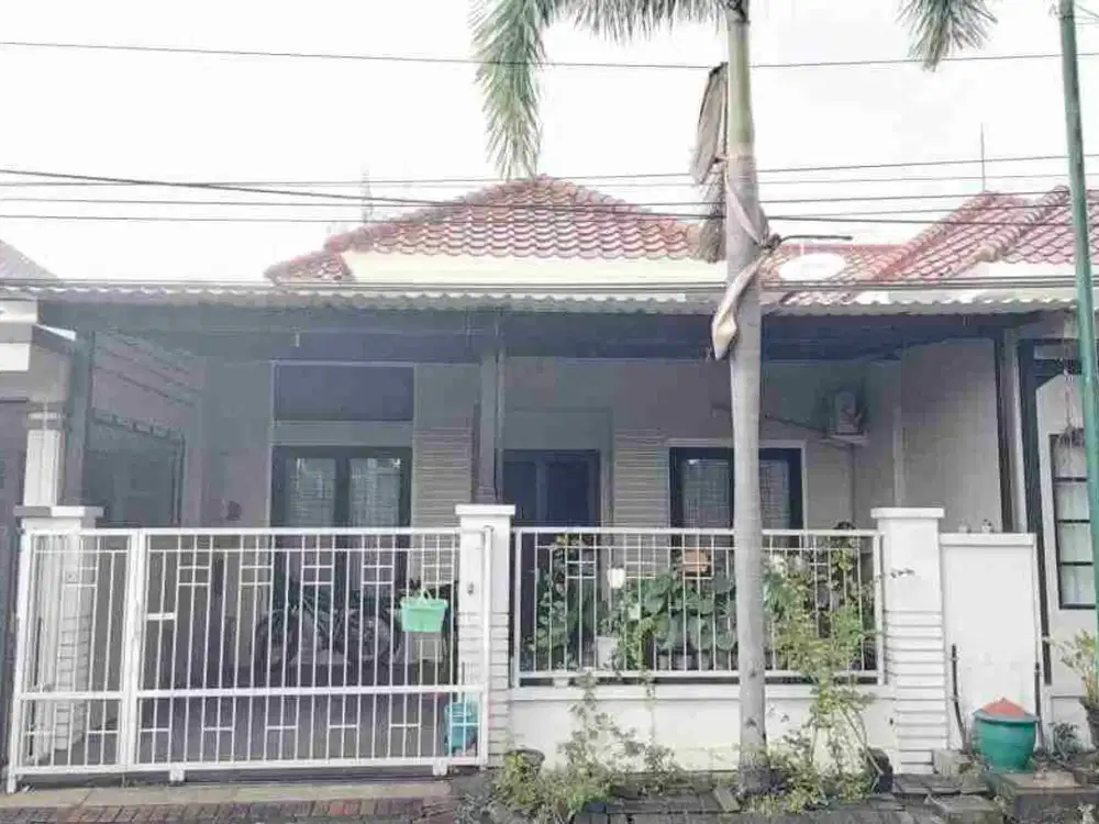 Under 3 M ‼ Rumah Murah Lokasi Strategis di Central Park A Yani Ketintang - Dekat Gayungsari Kebonsari