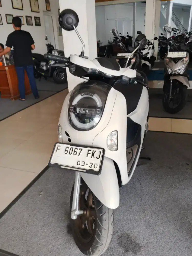 new scoopy kyles mulus cash dan krdit
