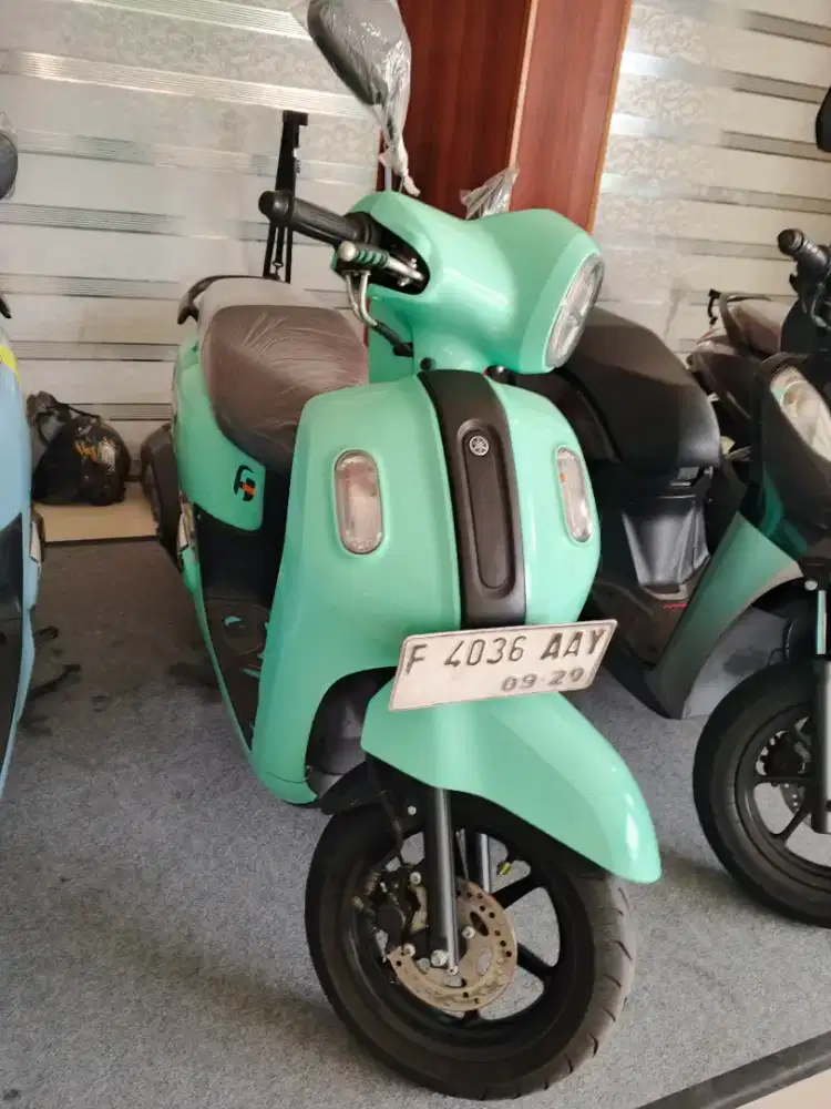 fazzio 125 mulus dp 800 aja