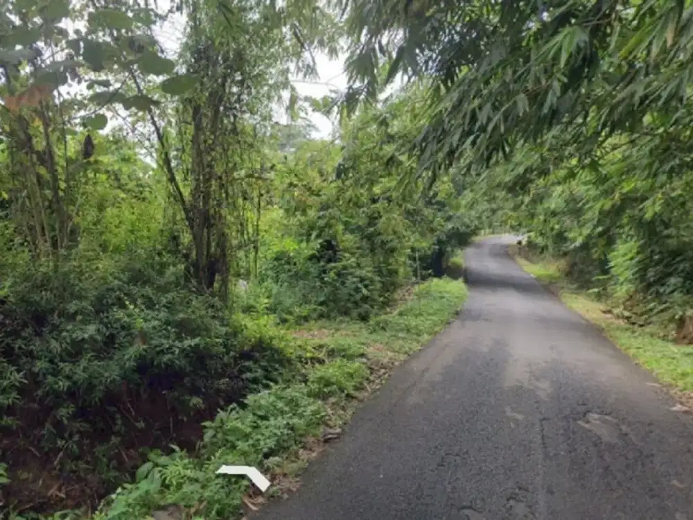 TANAH MURAH UNTUK LAHAN PERUMAHAN ATAU PERGUDANGAN BISNIS